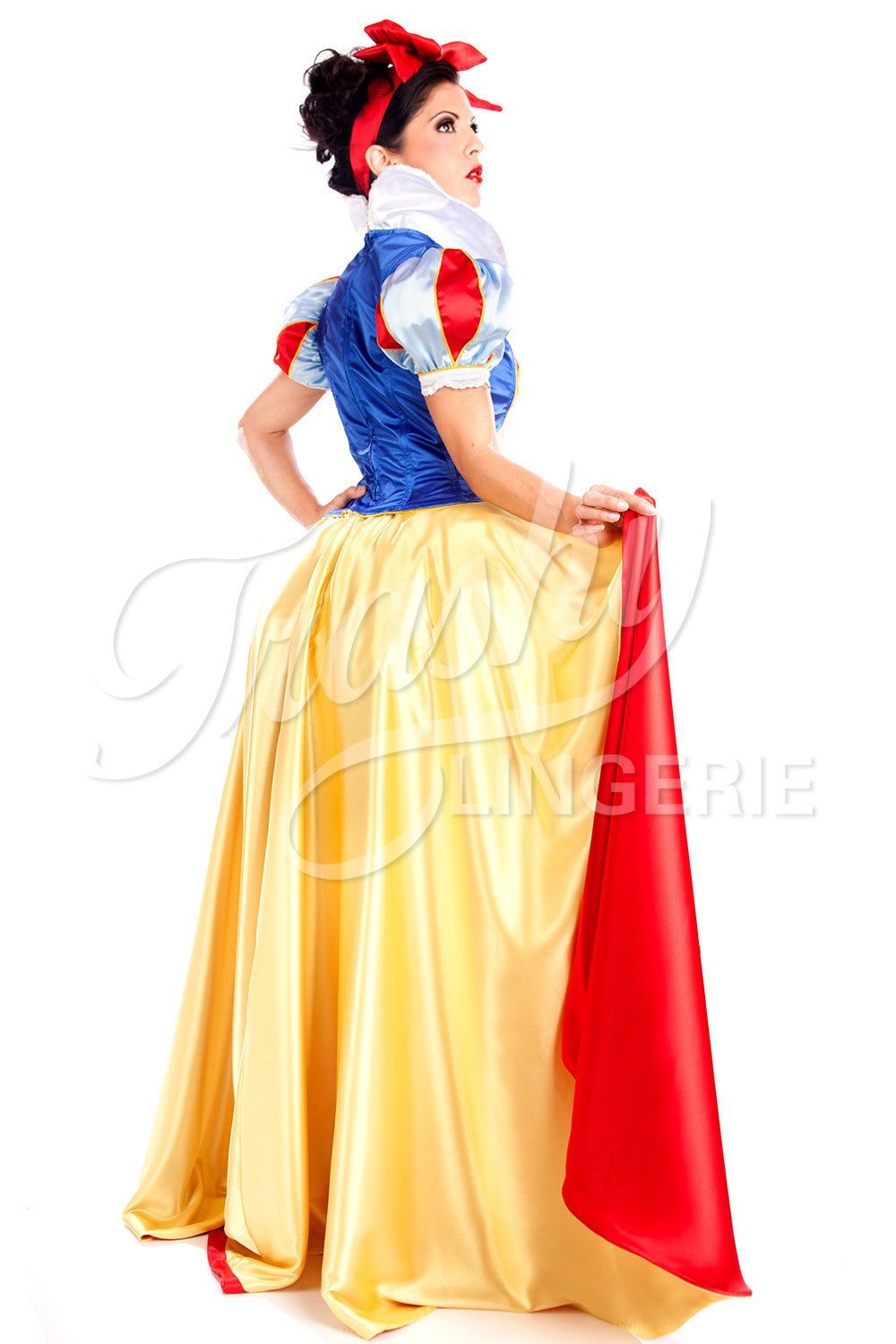 Snow White #6 Corset with Sleeves