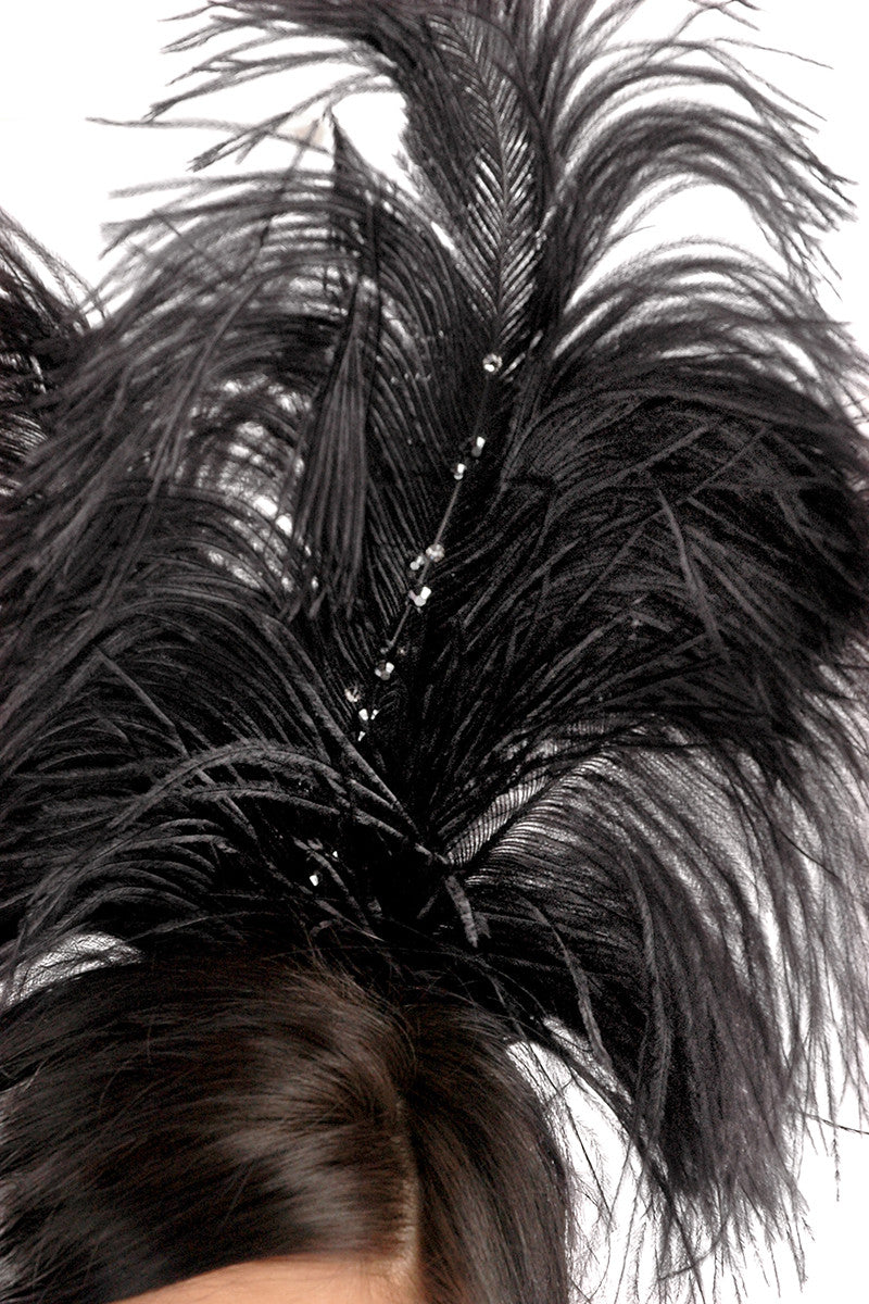 Black Swan Headpiece